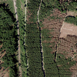 Satellite imagery of Bauernschütt, DE