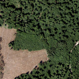Satellite imagery of Bauernschütt, DE