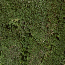 Satellite imagery of Badenstein, DE
