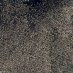 Satellite imagery of Schüttenkopf, DE