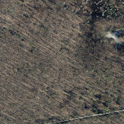 Satellite imagery of Schüttenkopf, DE