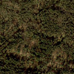 Satellite imagery of 461 A, NL