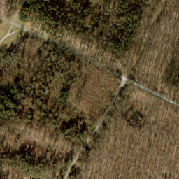 Satellite imagery of 463, NL