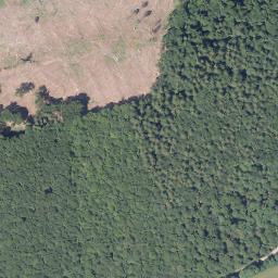 Satellite imagery of Losen-Berg, DE