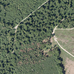 Satellite imagery of Borberg, DE