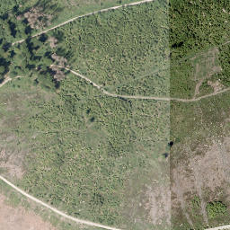 Satellite imagery of Borberg, DE