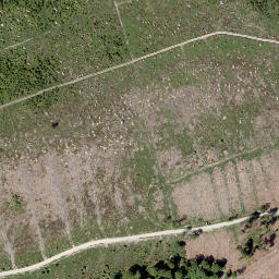Satellite imagery of Borberg, DE