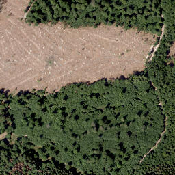 Satellite imagery of Bauernschütt, DE