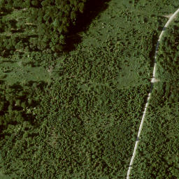 Satellite imagery of Großer Bärenberg, DE