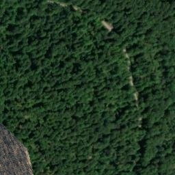 Satellite imagery of Steinbergskopf, DE