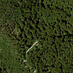 Satellite imagery of Arnstein, DE