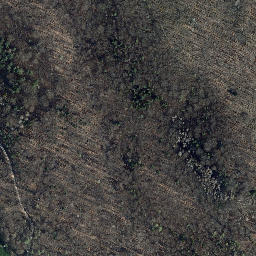 Satellite imagery of Schüttenkopf, DE