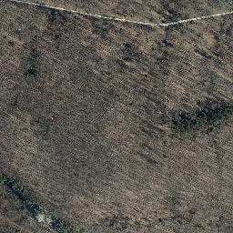 Satellite imagery of Schüttenkopf, DE