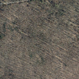 Satellite imagery of Schüttenkopf, DE