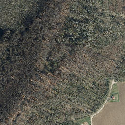 Satellite imagery of Kirchberg, DE