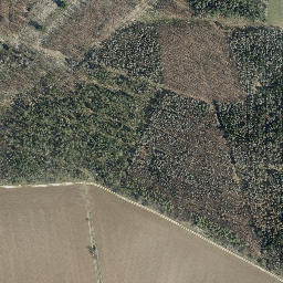Satellite imagery of Kirchberg, DE