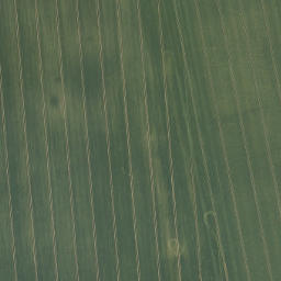 Satellite imagery of Rotthügel, DE