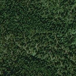Satellite imagery of Tin Cup Mountain, CA