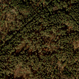 Satellite imagery of 461 A, NL
