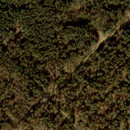 Satellite imagery of 461 A, NL