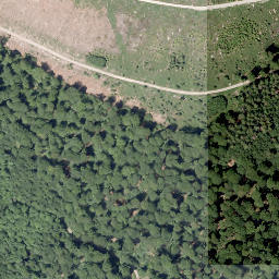 Satellite imagery of Borberg, DE