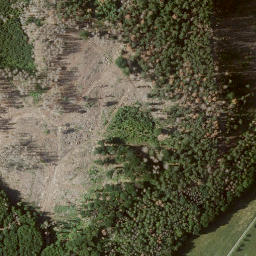 Satellite imagery of Warteberg, DE