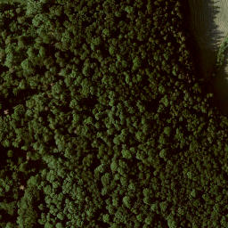 Satellite imagery of Großer Bärenberg, DE