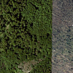 Satellite imagery of Stürzliederberg, DE