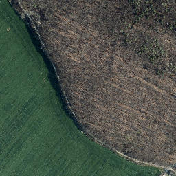 Satellite imagery of Schüttenkopf, DE