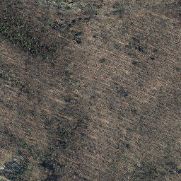 Satellite imagery of Schüttenkopf, DE