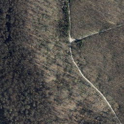 Satellite imagery of Mittelberg, DE