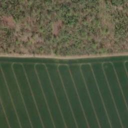 Satellite imagery of Großer Steinberg, DE