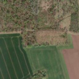 Satellite imagery of Großer Steinberg, DE