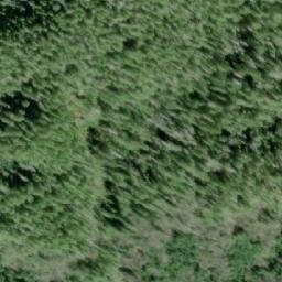 Satellite imagery of Coast Cone, CA