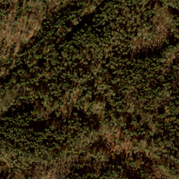 Satellite imagery of 459, NL