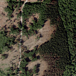 Satellite imagery of Fohre, DE