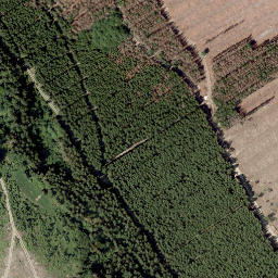 Satellite imagery of Hemberg, DE
