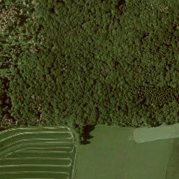 Satellite imagery of Sonnenborn, DE