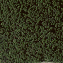 Satellite imagery of Mühlenberg, DE