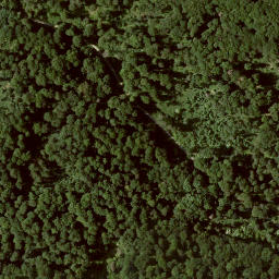 Satellite imagery of Großer Bärenberg, DE