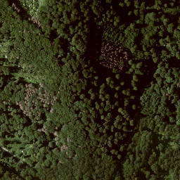 Satellite imagery of Großer Bärenberg, DE