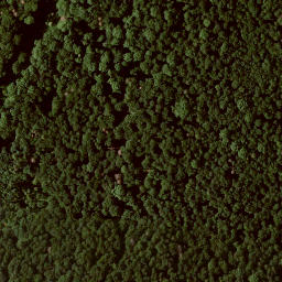 Satellite imagery of Großer Bärenberg, DE