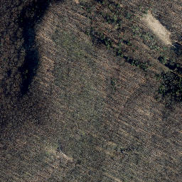 Satellite imagery of Röhrigsberg, DE