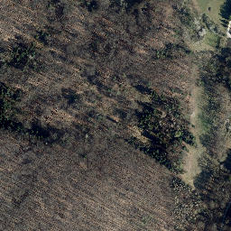 Satellite imagery of Röhrigsberg, DE