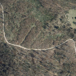 Satellite imagery of Mittelberg, DE