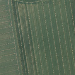 Satellite imagery of Rotthügel, DE