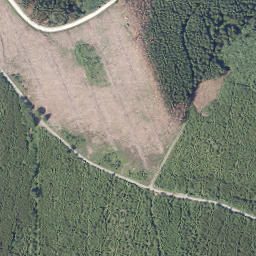 Satellite imagery of Hellefelder Höhe, DE