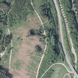 Satellite imagery of Buchhorst, DE