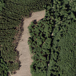 Satellite imagery of Fohre, DE