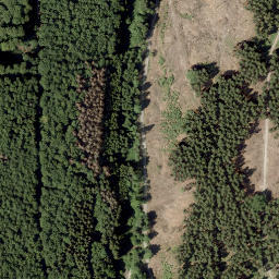 Satellite imagery of Fohre, DE